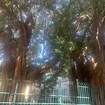 Casa Raccuglia