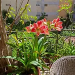 Cuba\'S Art House