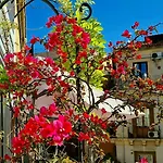 Casa Rivoluzione