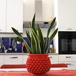 Appartamenti Mari 1
