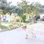 Il Giardino Di Lia