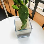 Ginevra Apartment