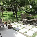 Nel Giardino Degli Agrumi