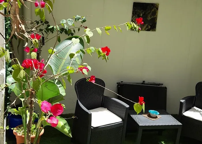 Garden Suite Apartment