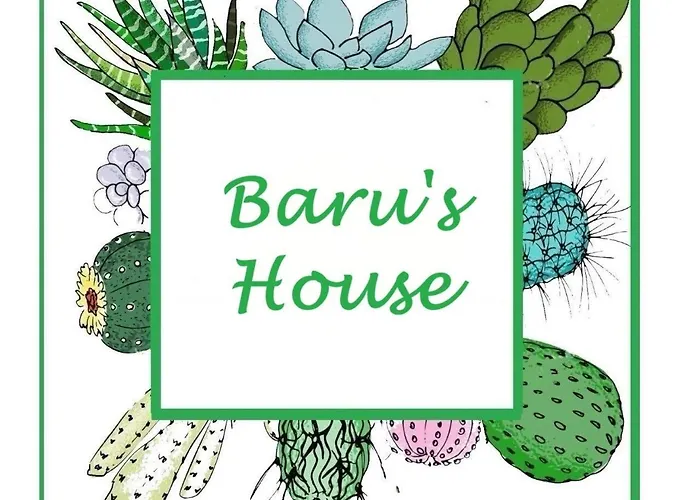 Baru\'S House