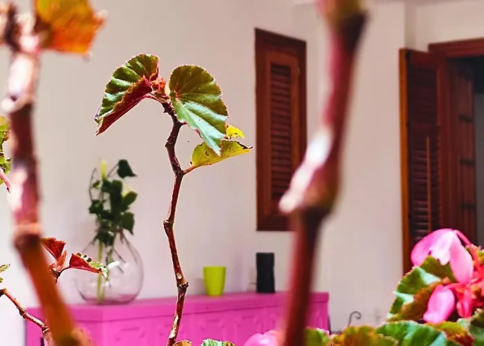A Casa Da Mammi