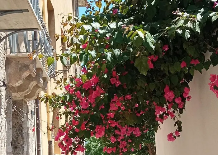 A Casa Nica