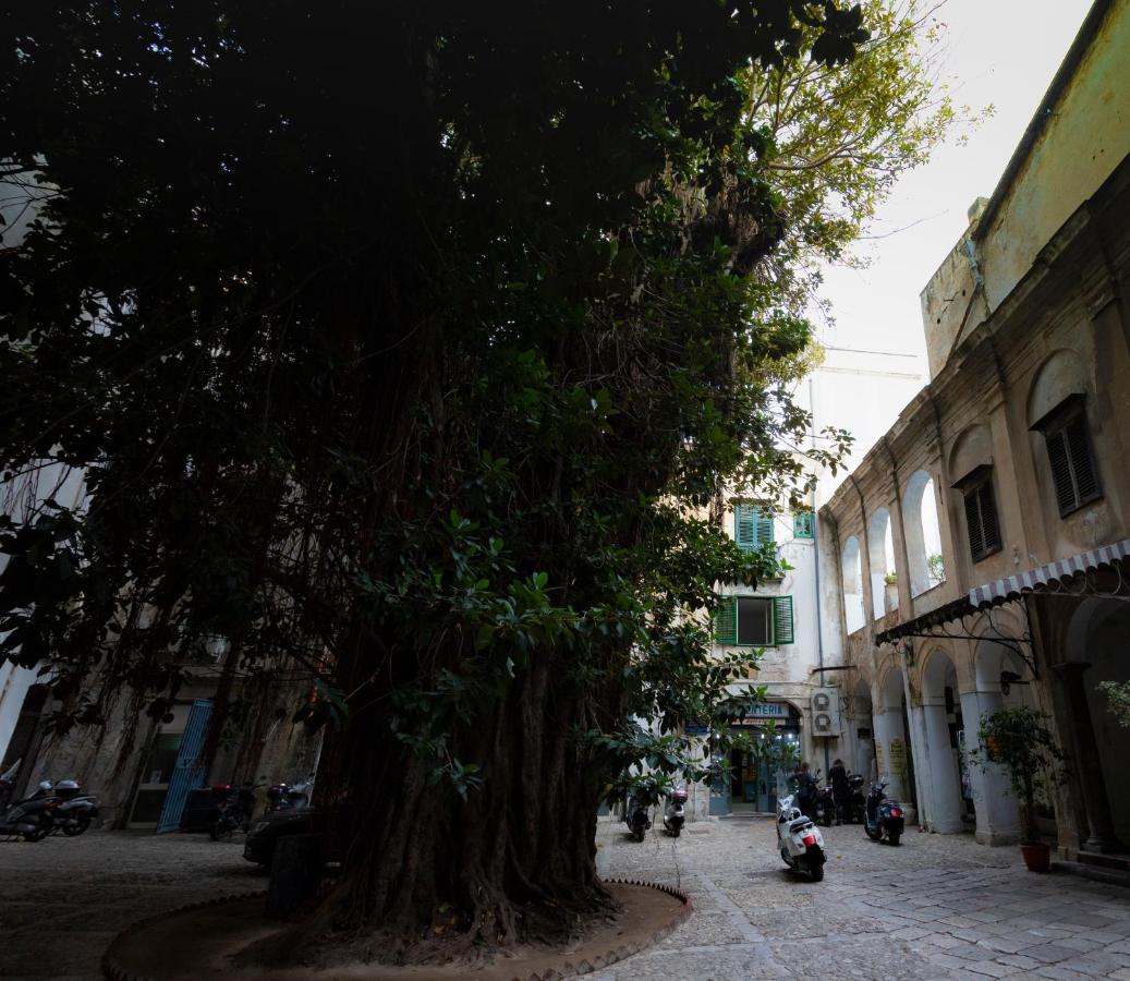 Homestay Amuni Palermo