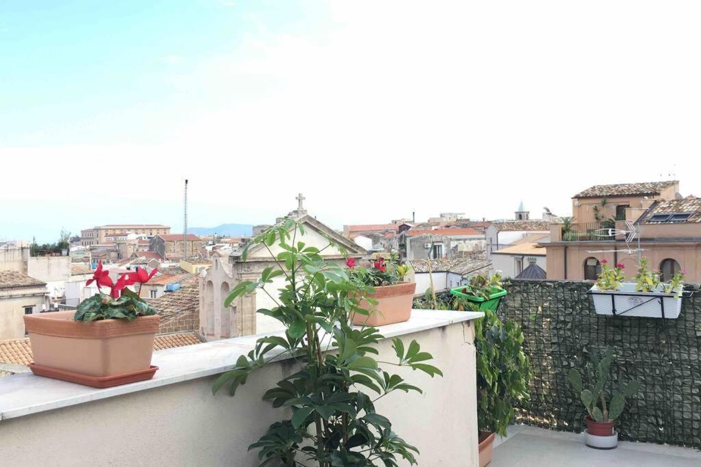 Rooftop Garden Vucciria * Palermo