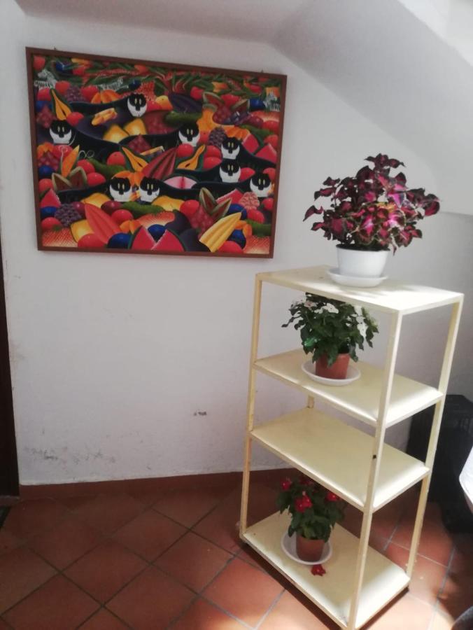 Guest house Cappucciniroom 2*