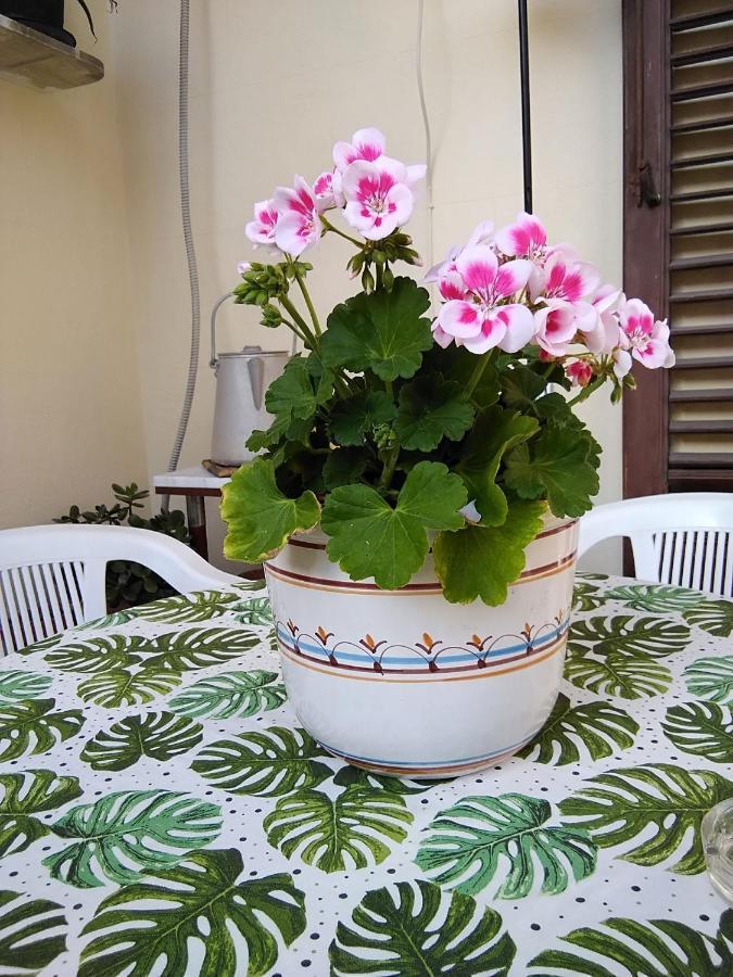 Soleluna Della Solidarieta Bed & Breakfast Palermo
