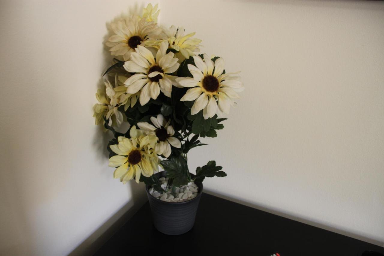 Bed & Breakfast Alexander-room And Breakfast Palermo