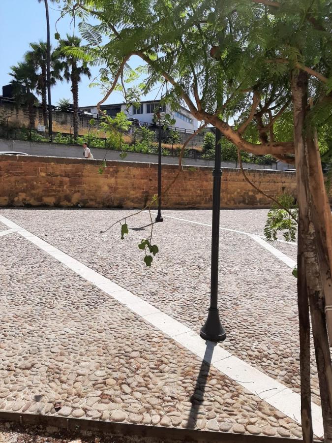 A Due Passi Dalla Cattedrale Apartment *