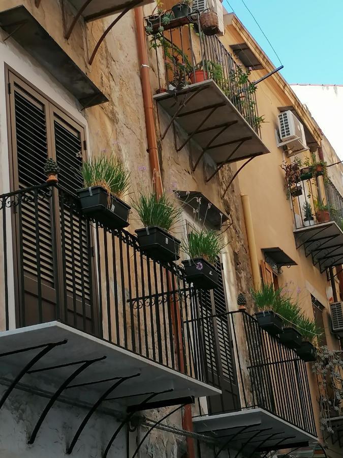 Kalbita Palermo