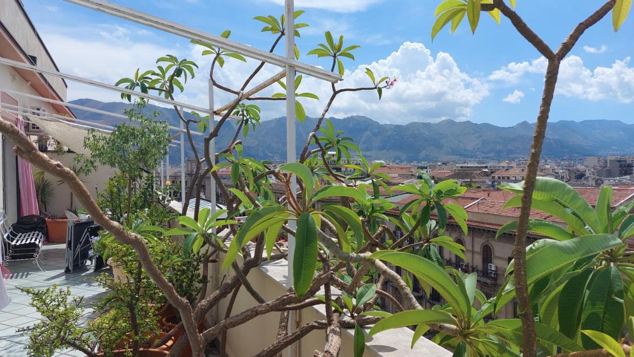 Settimocielo * Palermo