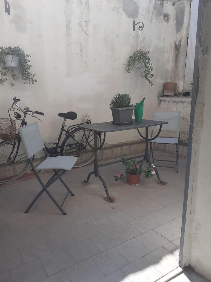 Guest house Domus 31