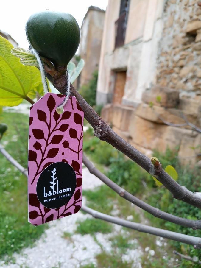 Bandbloom Bed & Breakfast *