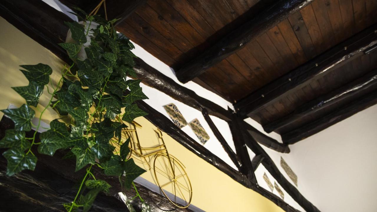 Apartment Le Maioliche