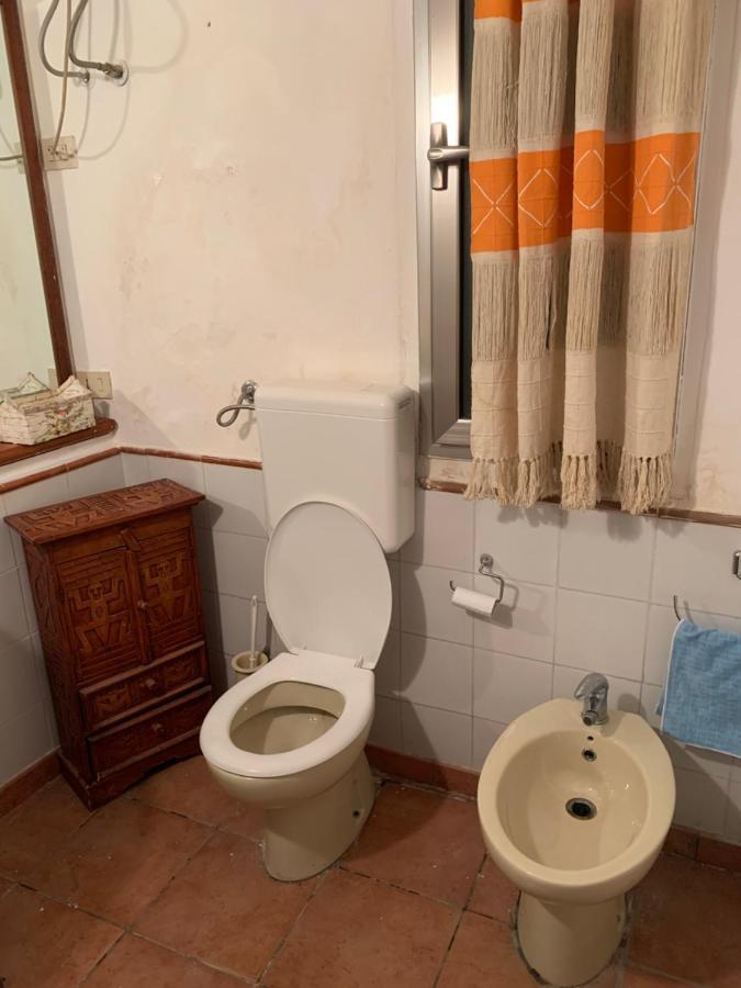 Convalis Hostel *
