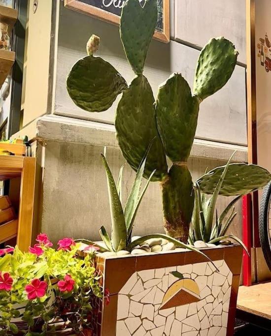 La Casa Di Eva *