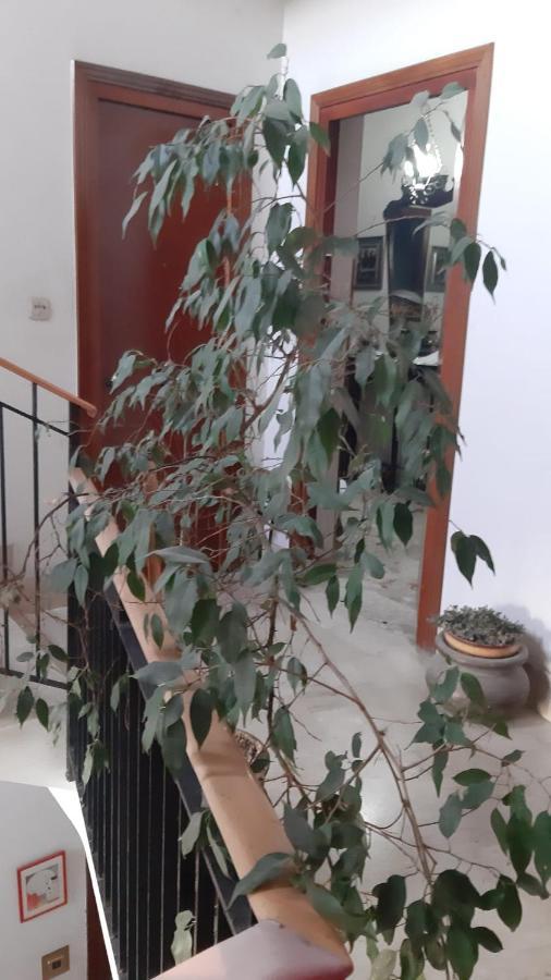 Marianna Apartment Palermo