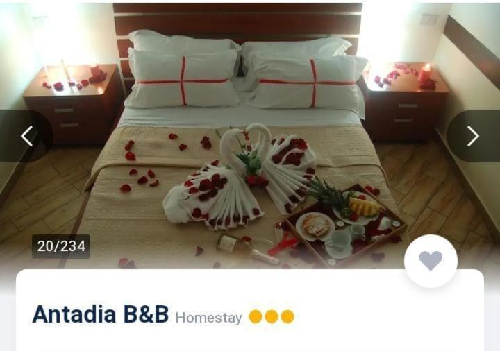 Antadia Guest house