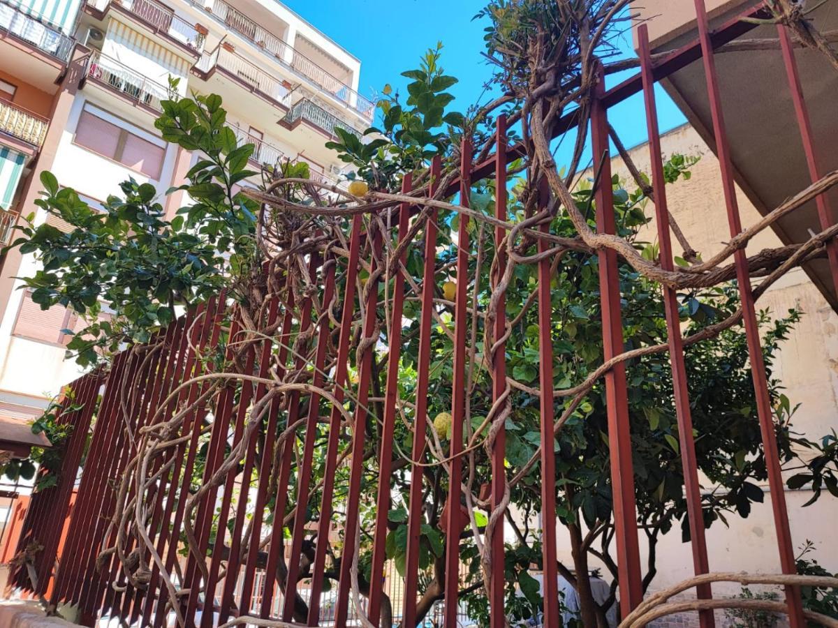 Apartment Genoard Palermo