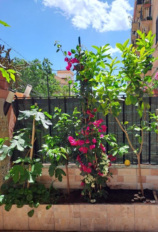 Lilibet Appartamento Palermo