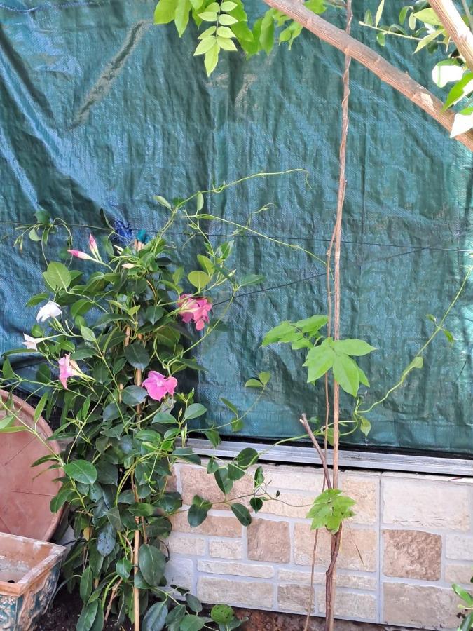 Lilibet Appartamento Palermo
