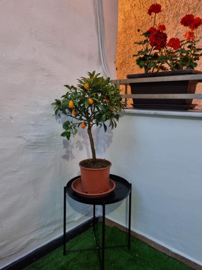 Giardino Moreno * Palermo