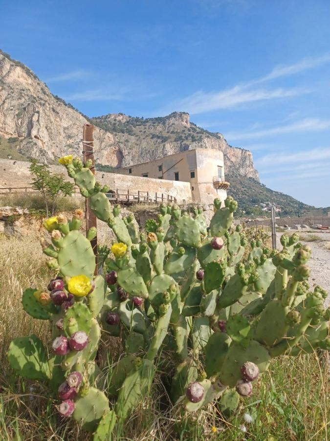 Giorgisa * Palermo