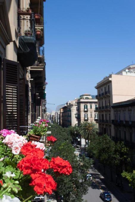 Archi Centro Palermo
