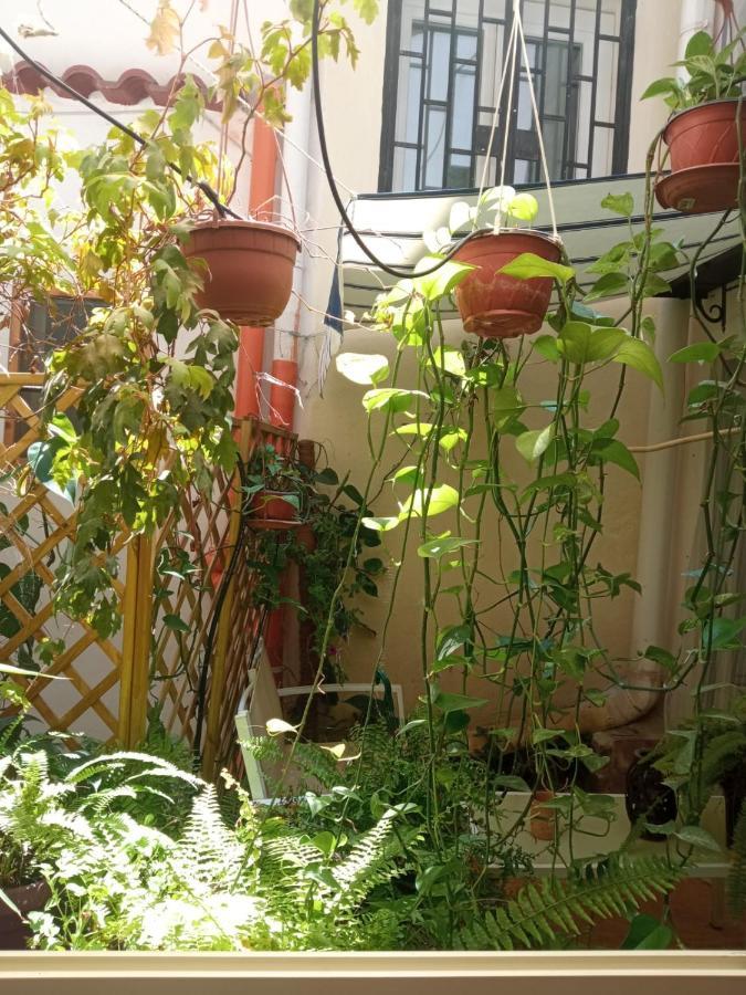 Gasthof Alberto's Palermo