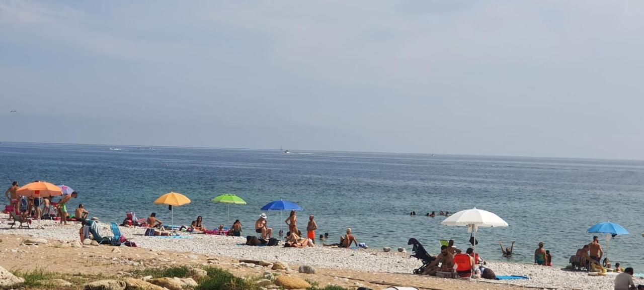La Trinacria Mare Apartment
