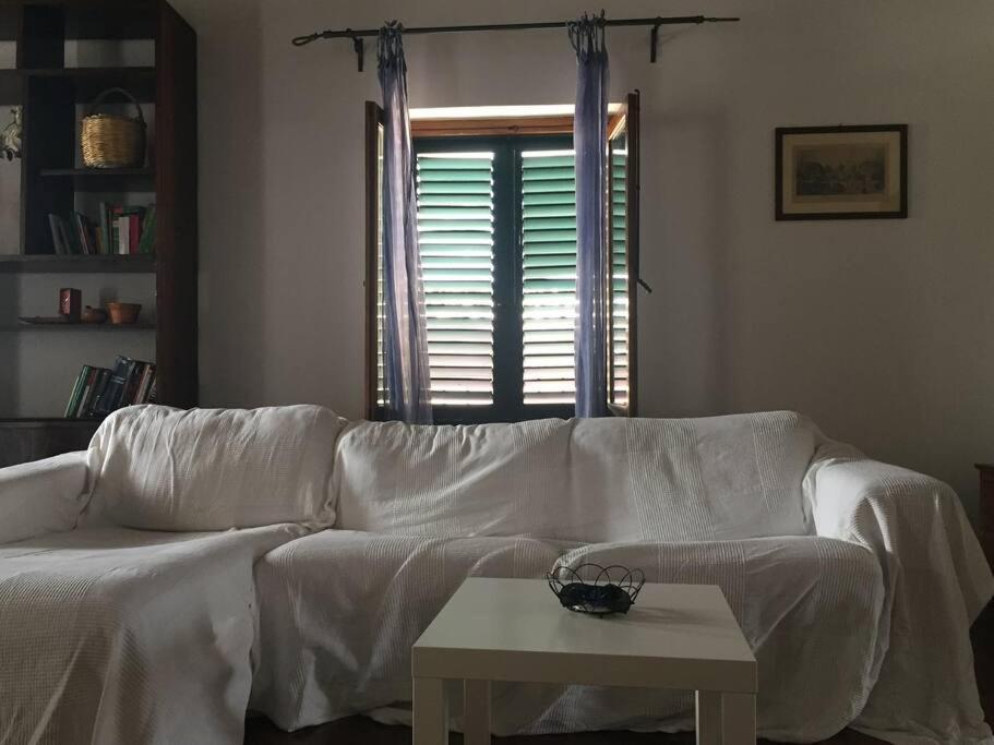 Apartment Fraleporte - Maqueda's Terrace