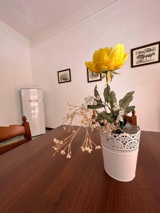 Passiu House Apartment *
