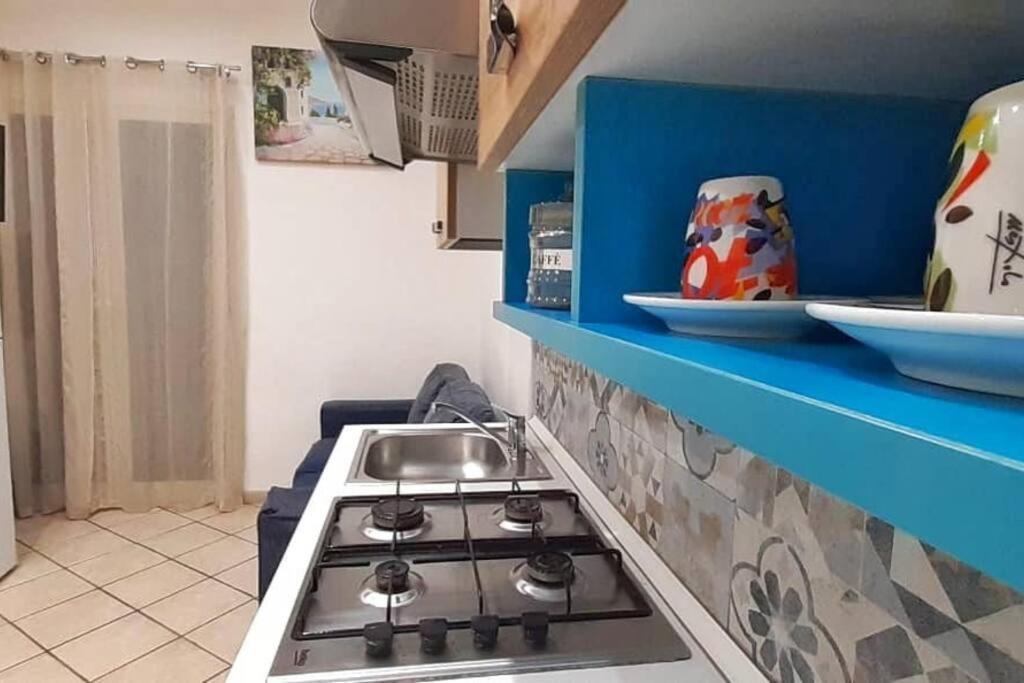 Apartment Cusciuliu House