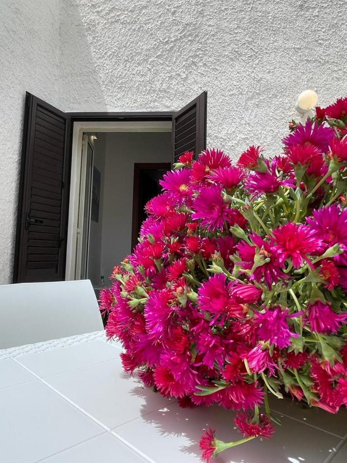 Aparthotel Sweet Life *