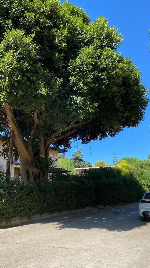 Casa Vacanze Magnolia Palermo