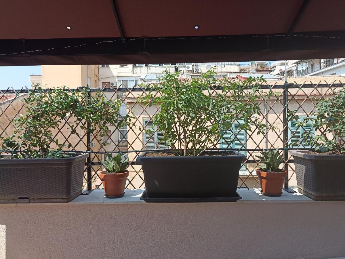 A&c Gold Diamond Palermo