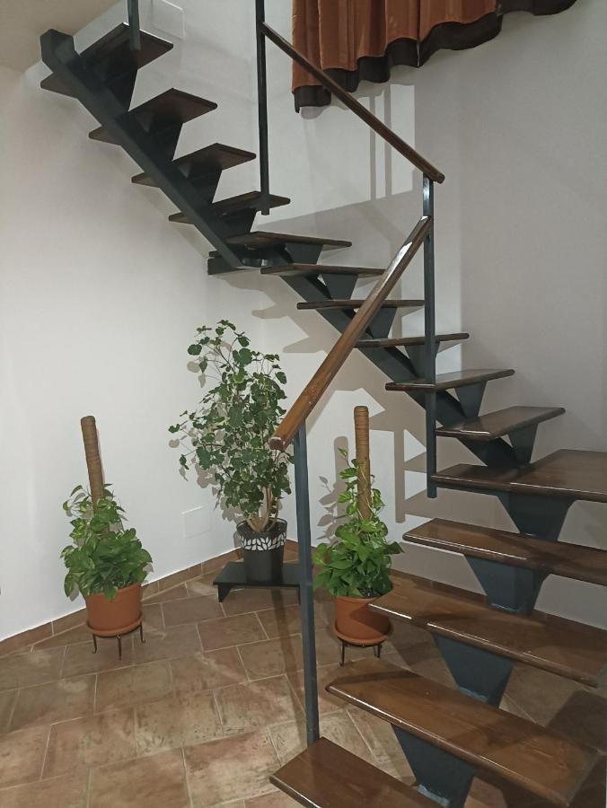 Apartment A&c Gold Diamond
