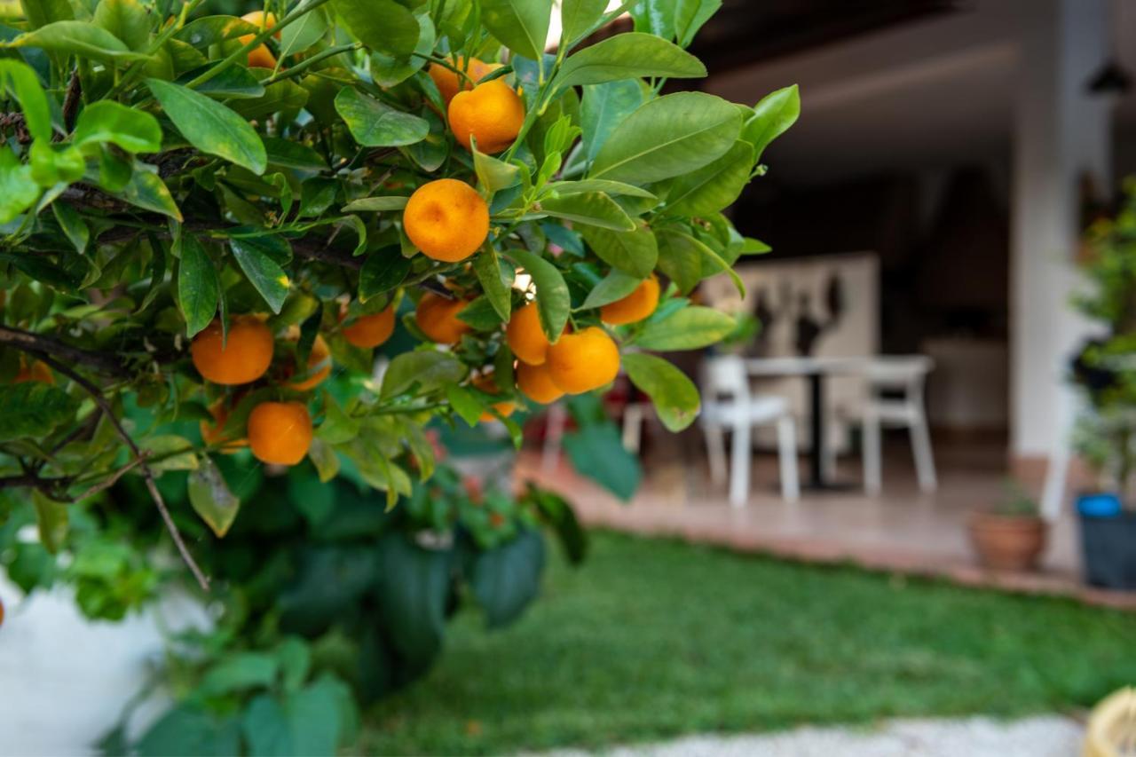 Frühstückspension Megna - Paradise Palermo