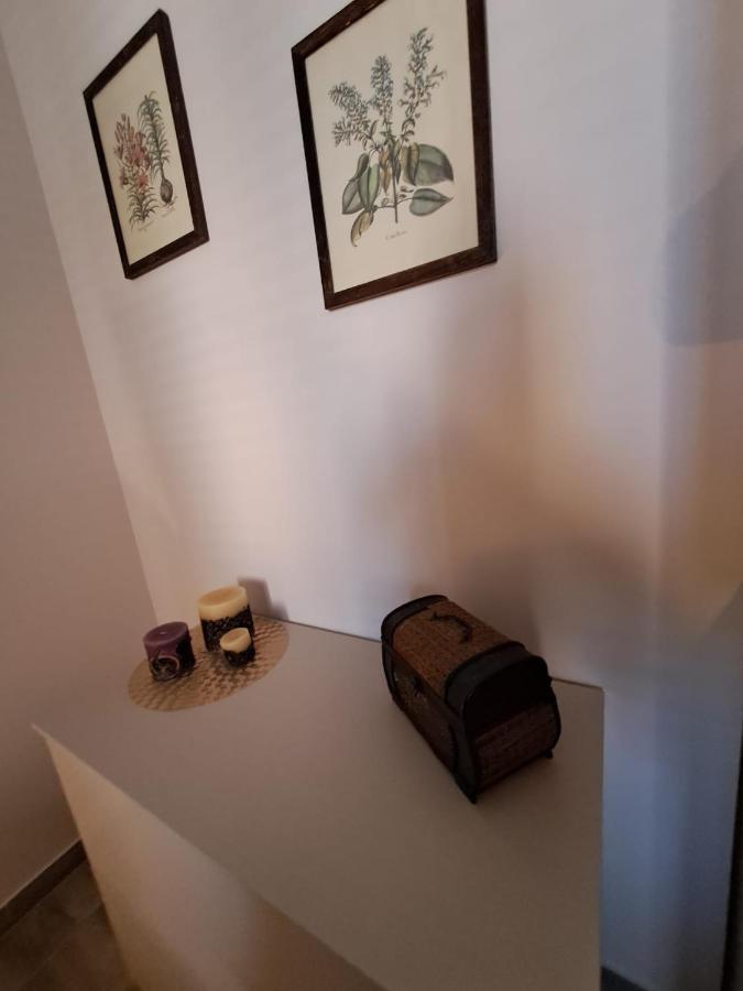Ammirata Apartment *