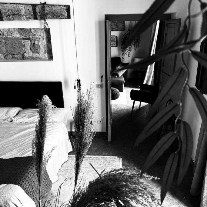 Apartment Donna Isabella A Ballaro *