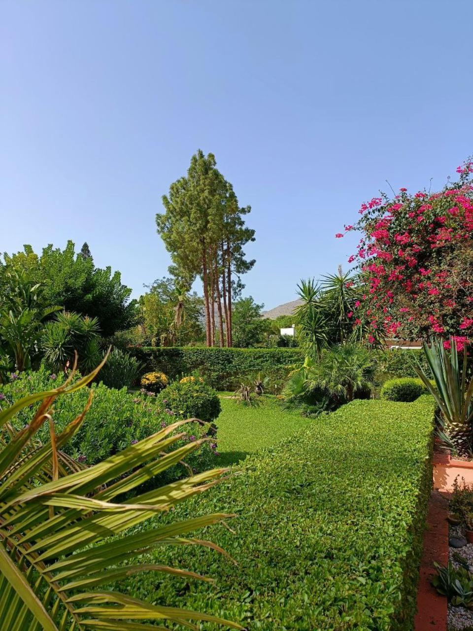 Apartment Cozy Suite&lodge Mondello *