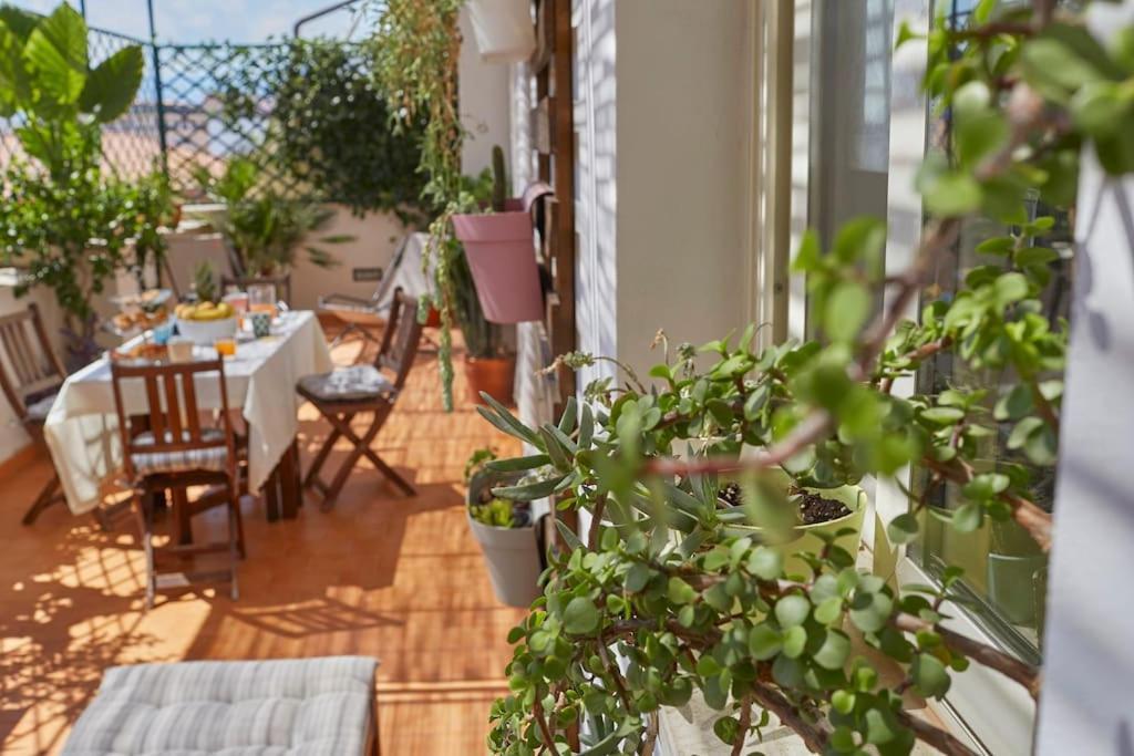 Apartment Casa Vale E Giu