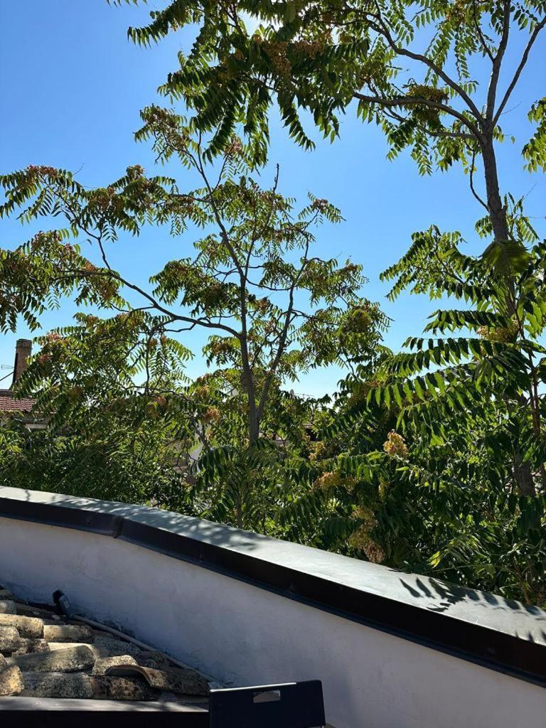 Apartment Capo Palermo