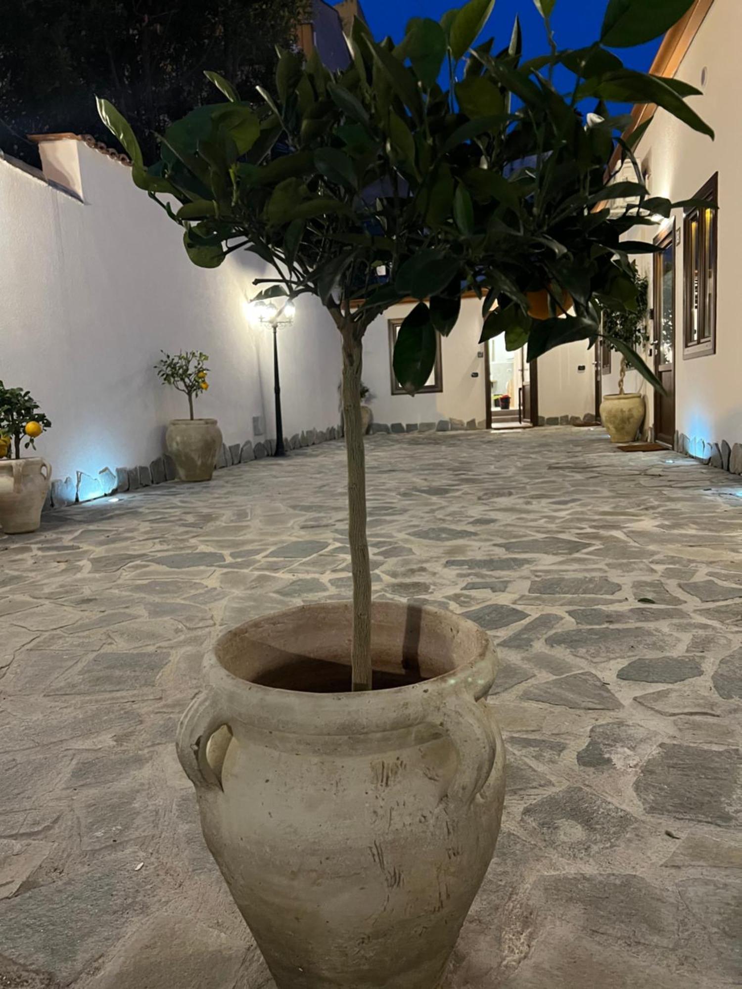 Cedros Apartment Palermo