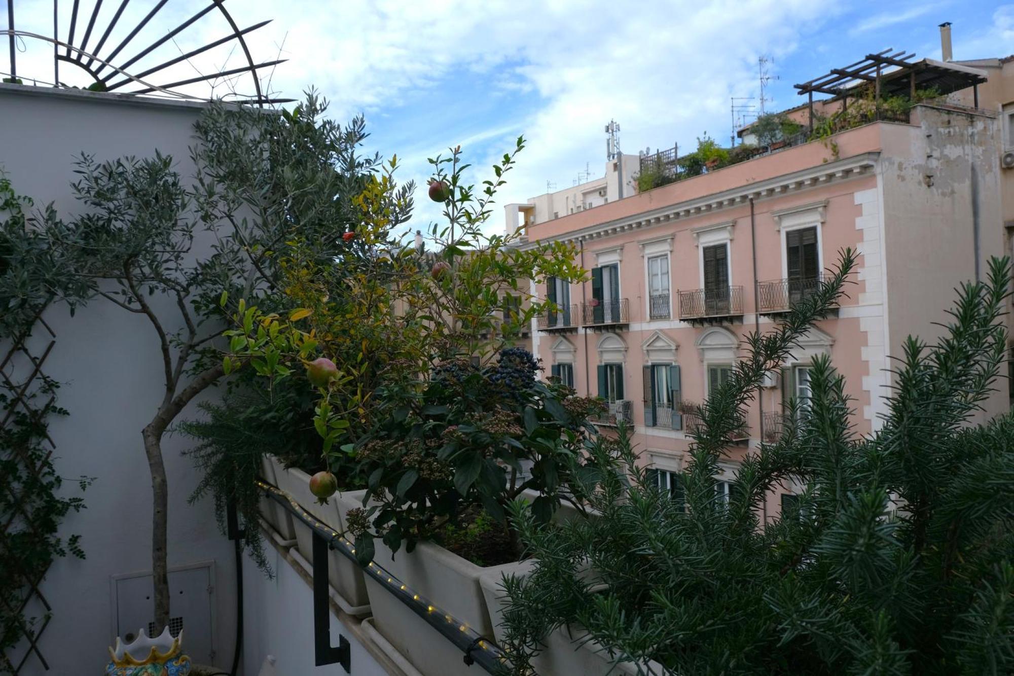 Db Exclusive * Palermo