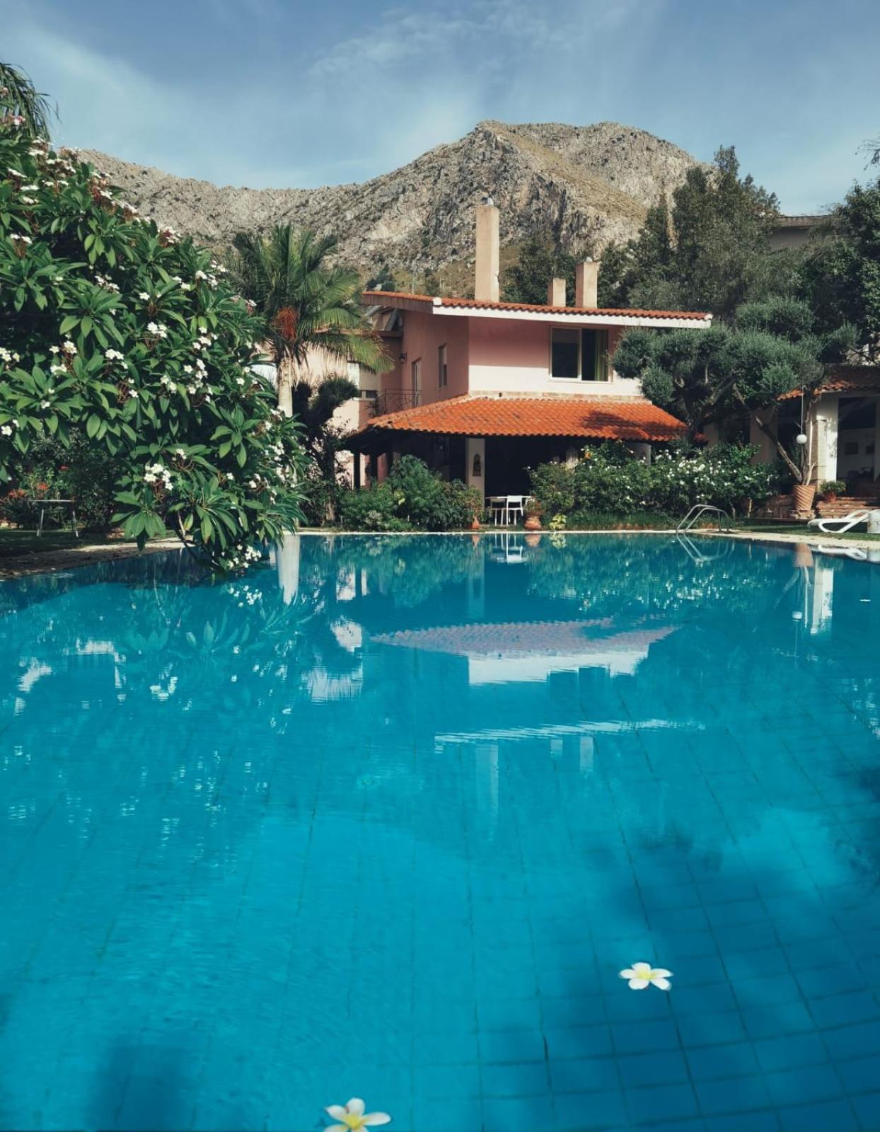 Megna - Paradise * Palermo